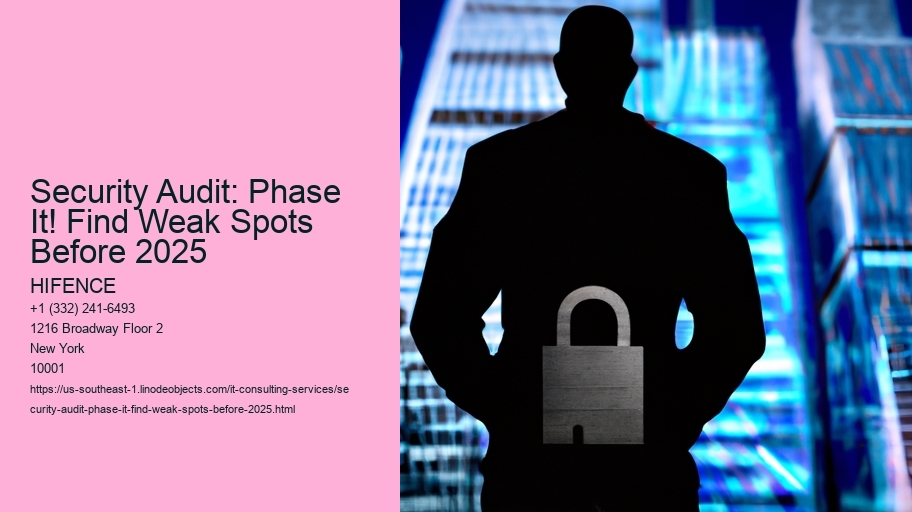 Security Audit: Phase It! Find Weak Spots Before 2025