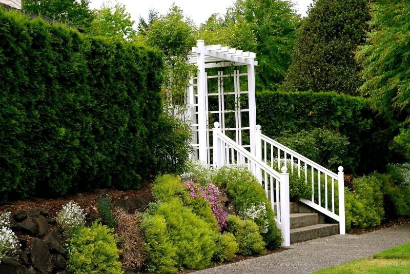 solid wood pergola