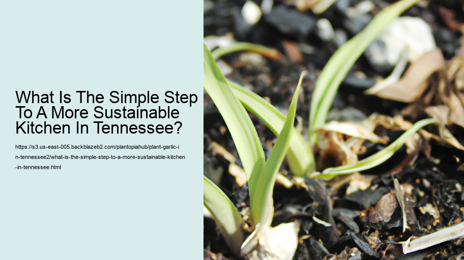 What Is The Simple Step To A More Sustainable Kitchen In Tennessee?
