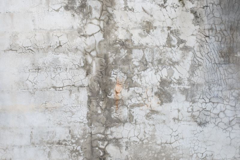 indoor polished concrete floors