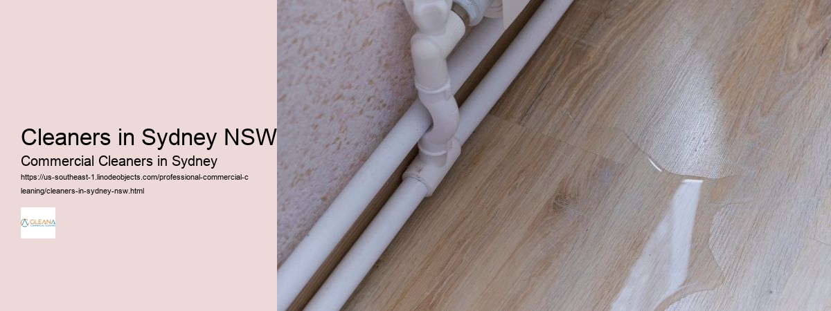 Cleaners in Sydney NSW