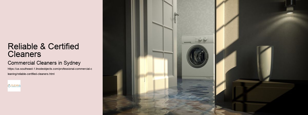 Reliable & Certified Cleaners