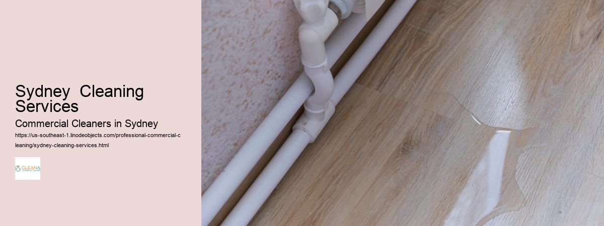 Sydney  Cleaning Services