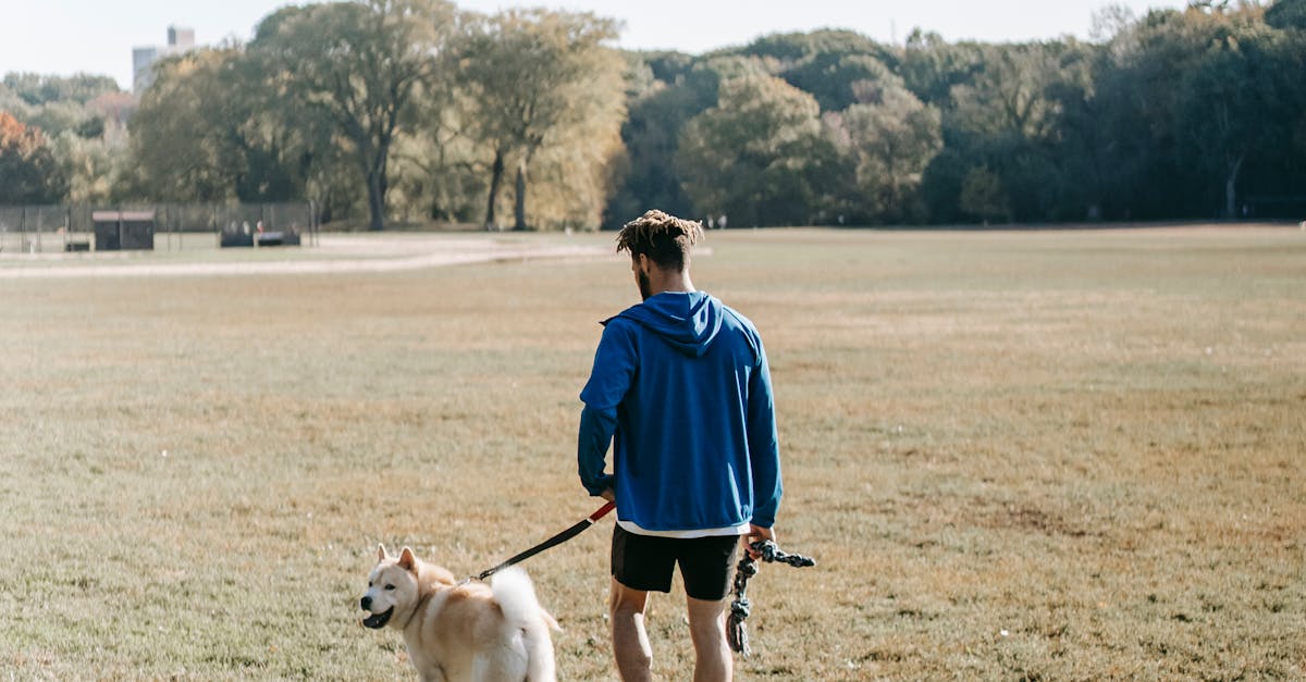 Queen Creek lawn care services