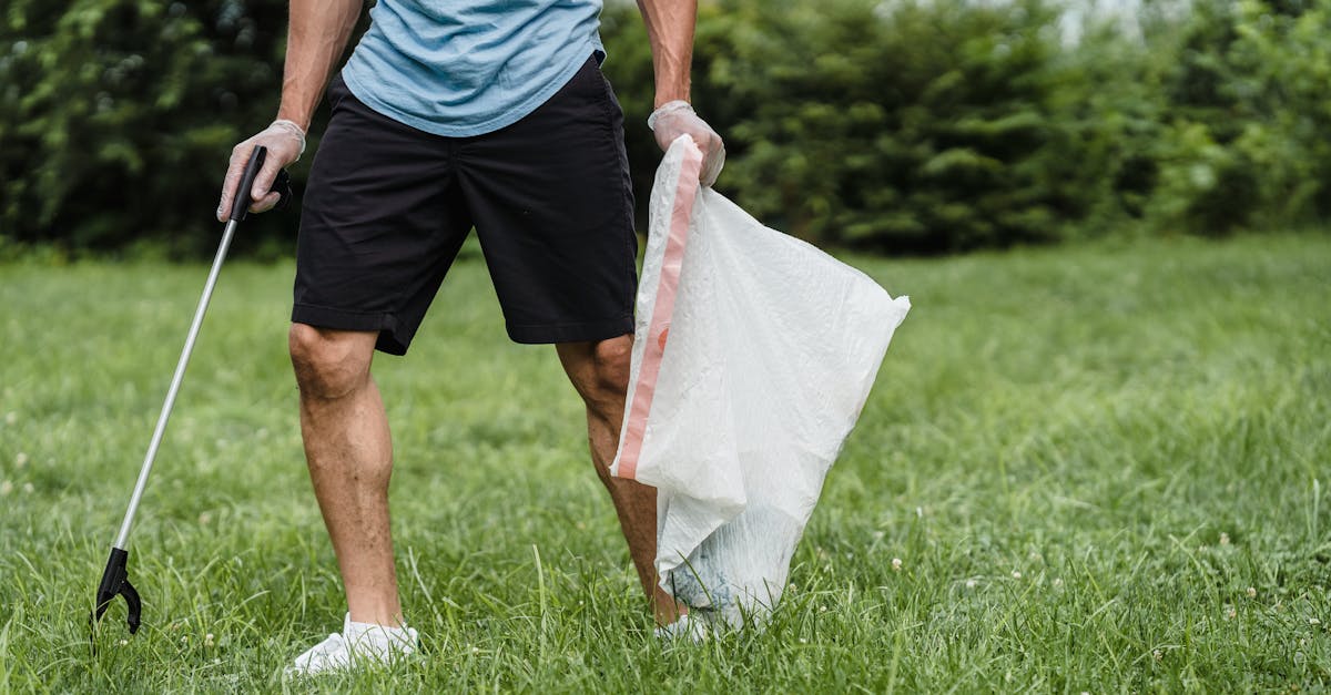 Services for lawn care in Queen Creek