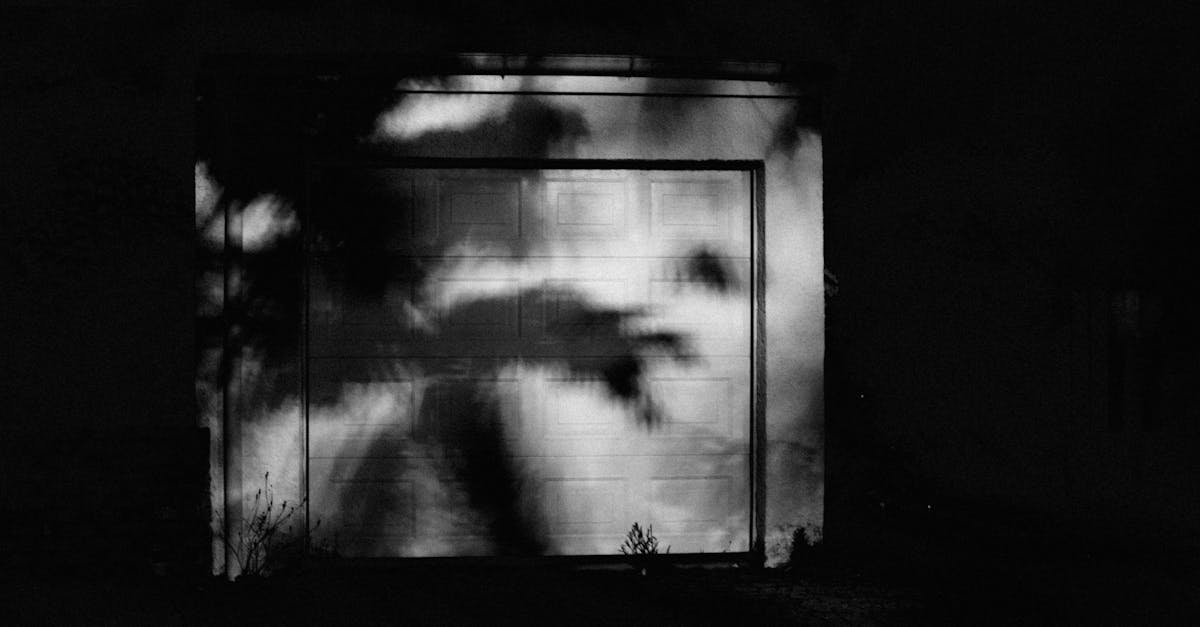 Roller Door Maintenance