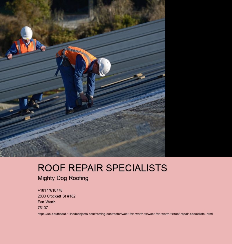 ROOF REPAIR SPECIALISTS Mighty Dog Roofing ROOF INSTALLATION