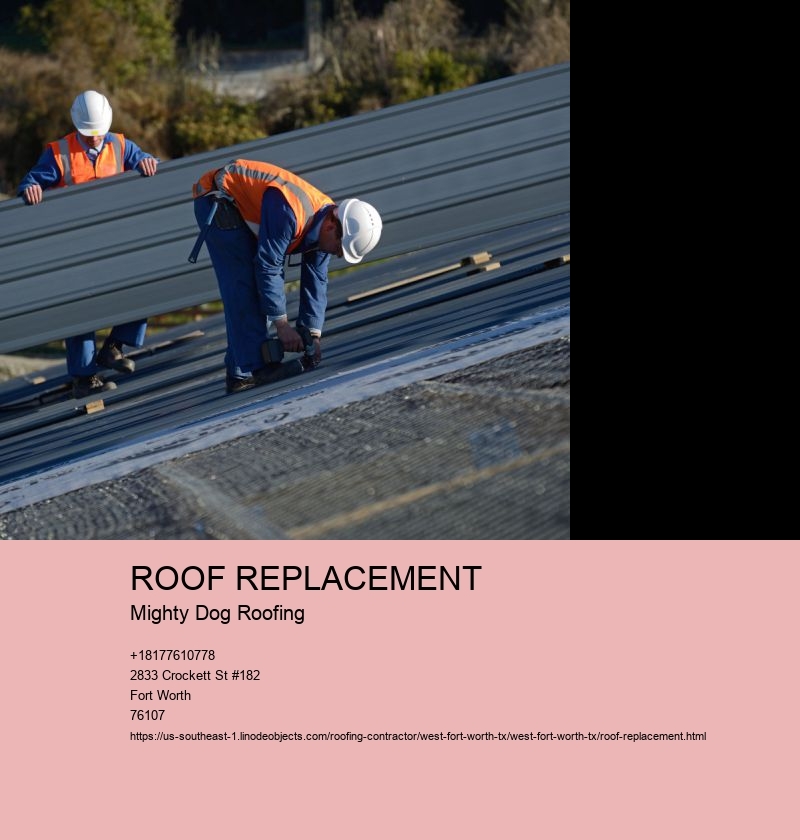 ROOF REPLACEMENT Mighty Dog Roofing ROOF INSPECTION