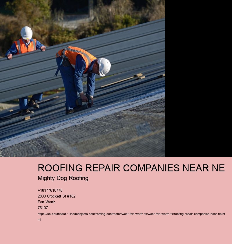 ROOFING REPAIR COMPANIES NEAR NE Mighty Dog Roofing ROOF REPLACEMENT