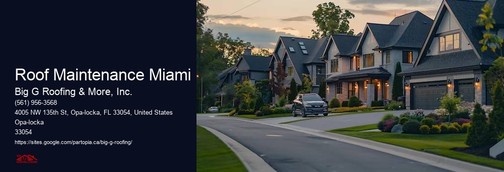 Roof Maintenance Miami