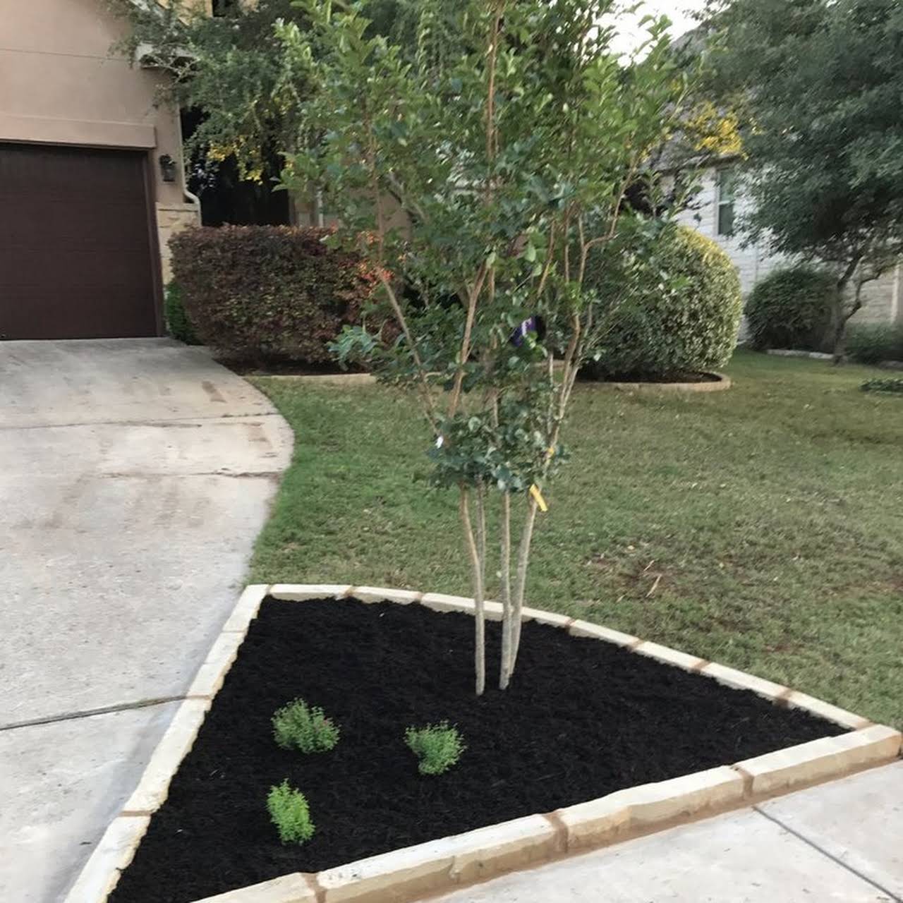When should I treat my lawn in Texas