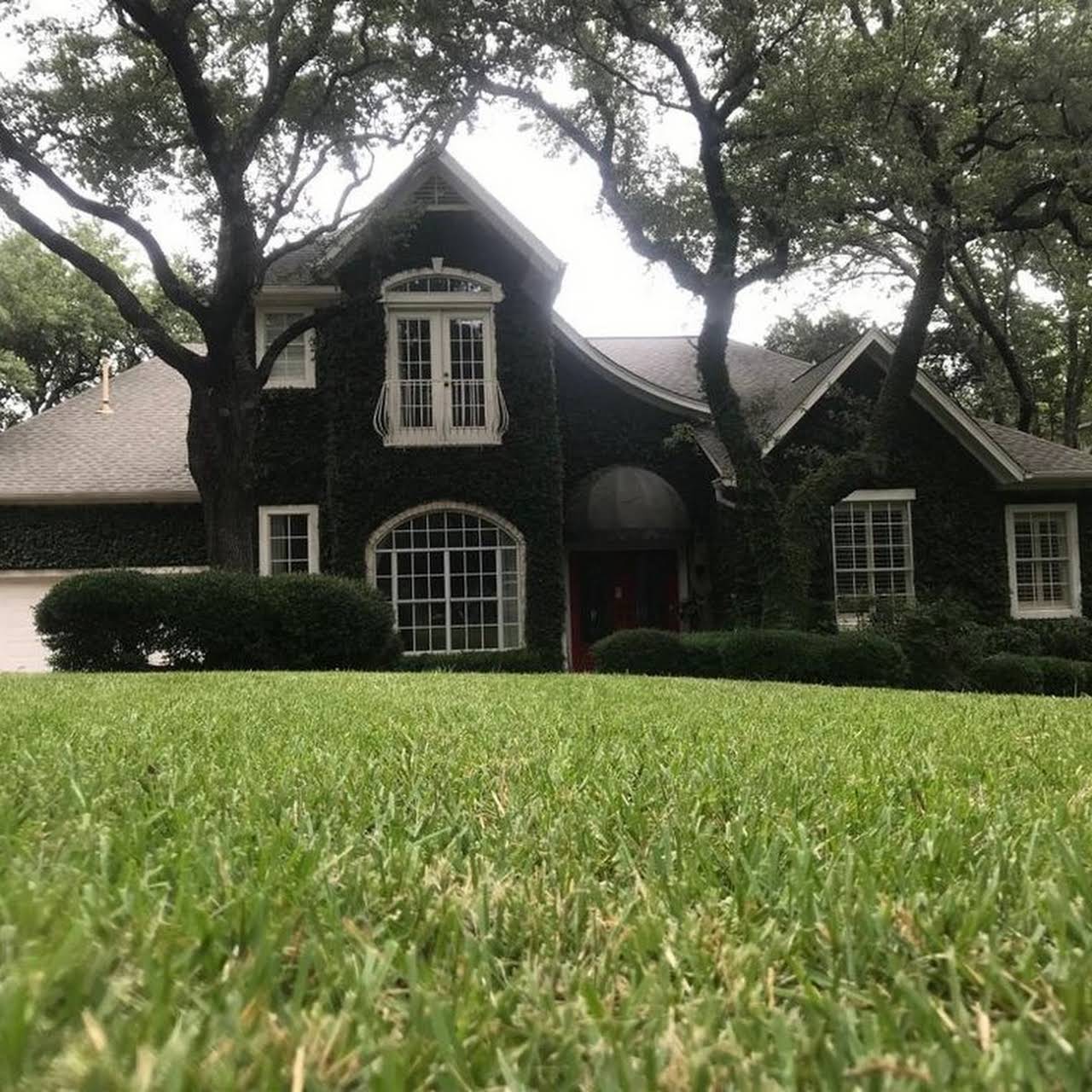 Lawn Mowing