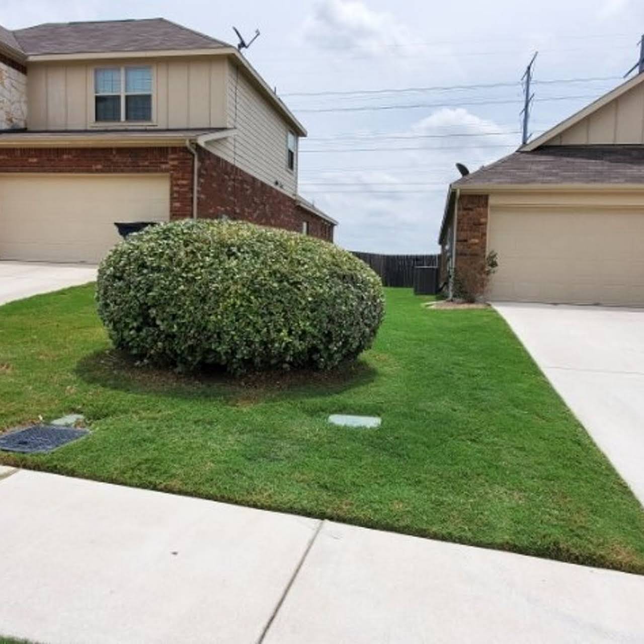 What month Should I fertilize lawn