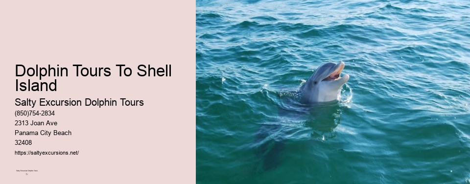 Dolphin Tours To Shell Island