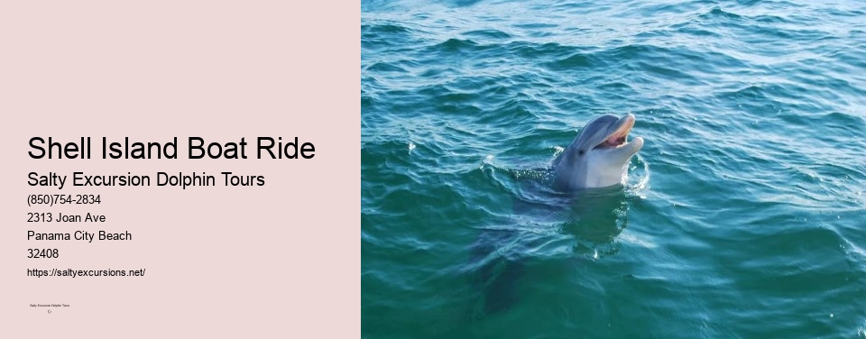 Shell Island Boat Ride