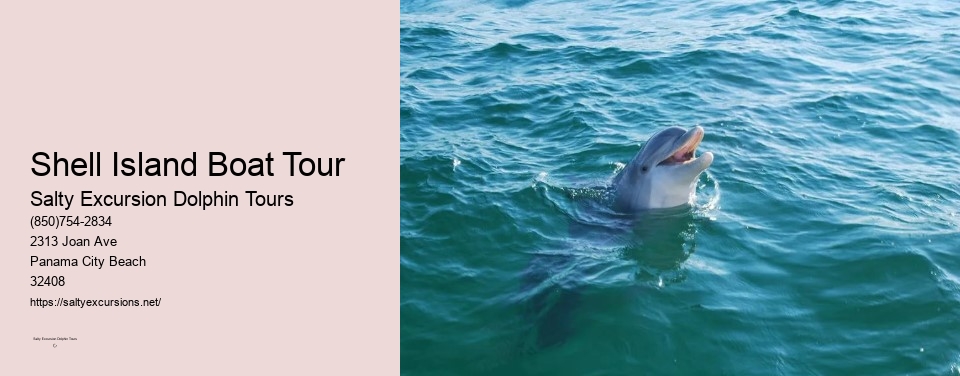 Shell Island Boat Tour