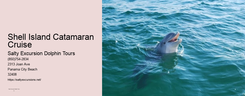 Shell Island Catamaran Cruise