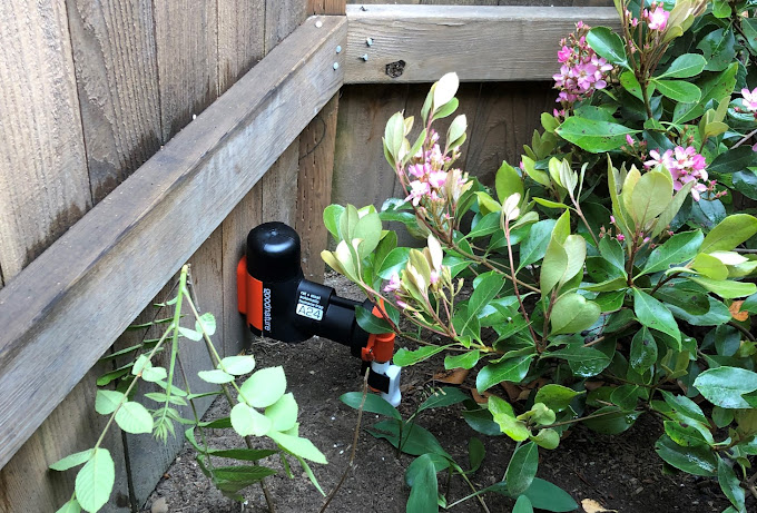 What is the safest method for pest control in Seattle?