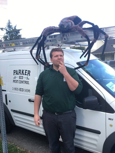 What is the importance of regular pest inspections in Seattle?