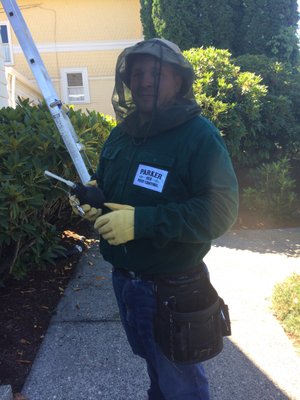 What is the best way to prevent pests in Seattle businesses?