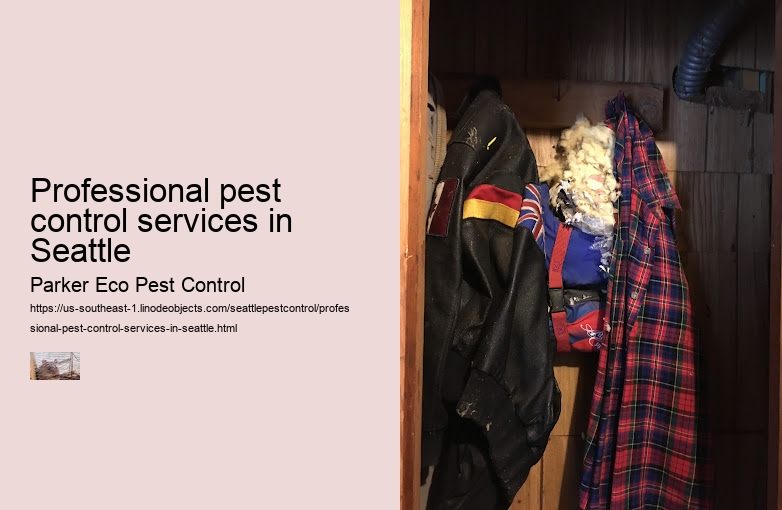Professional pest control services in Seattle