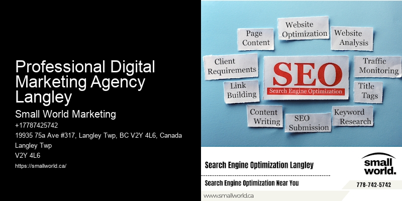 Professional Digital Marketing Agency Langley