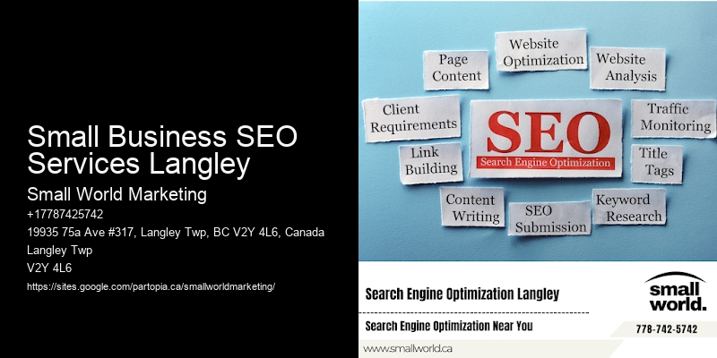 Small Business SEO Services Langley