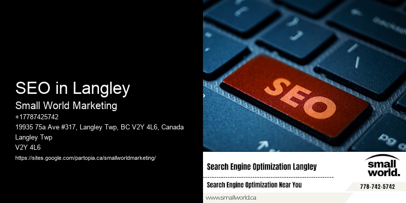 SEO in Langley