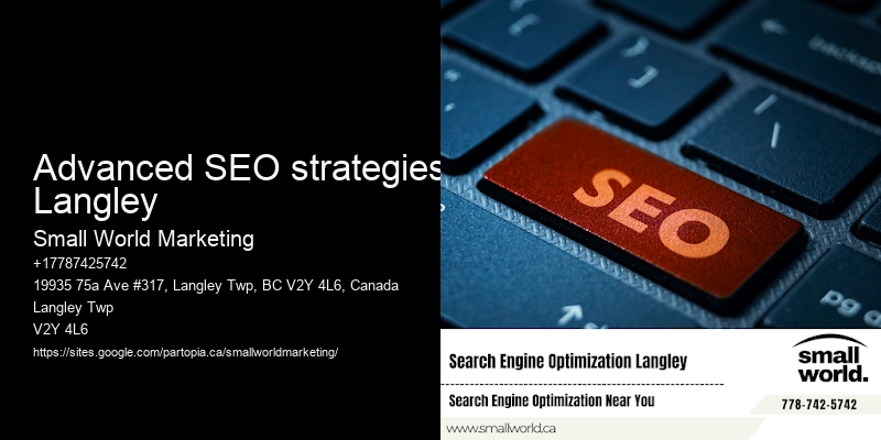 Advanced SEO strategies Langley
