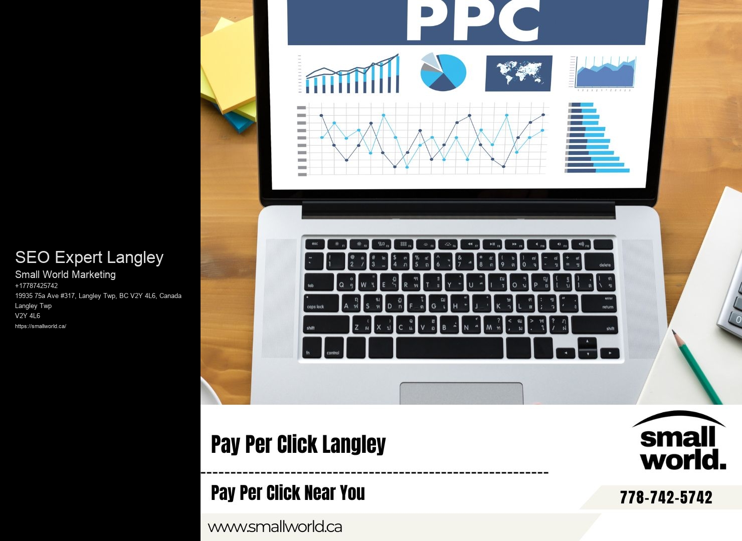 Leading SEO agency SEO Expert Langley