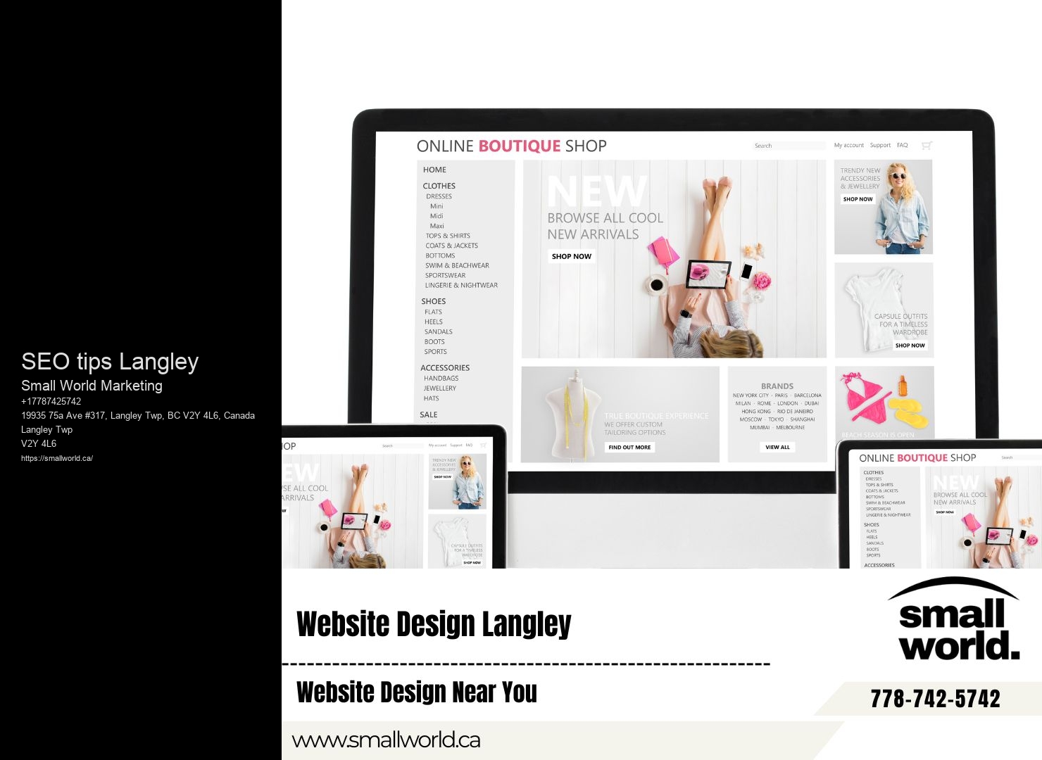 SEO Consultation Specialist in SEO tips Langley