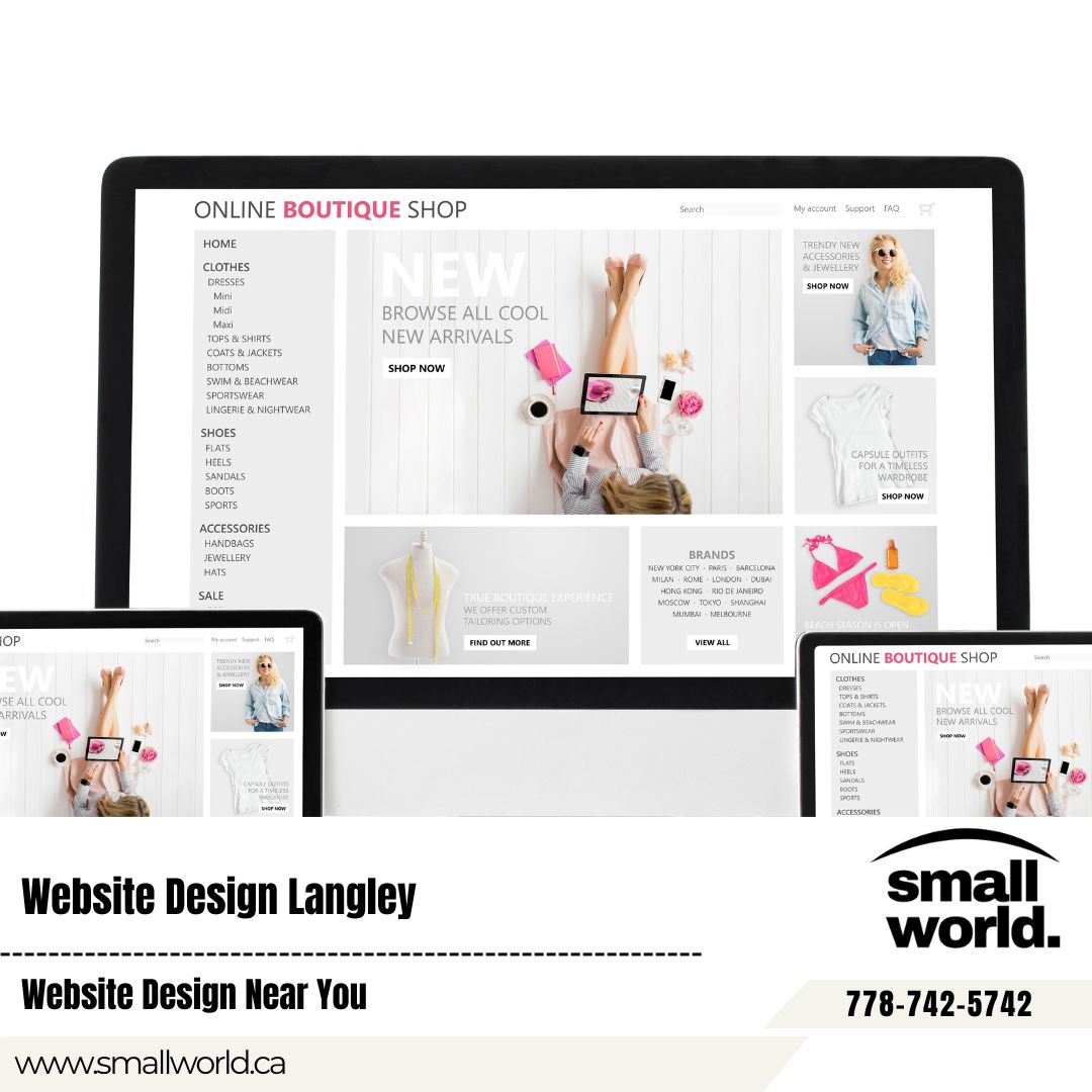Professional Local SEO Langley Search Engine Optimization Expert