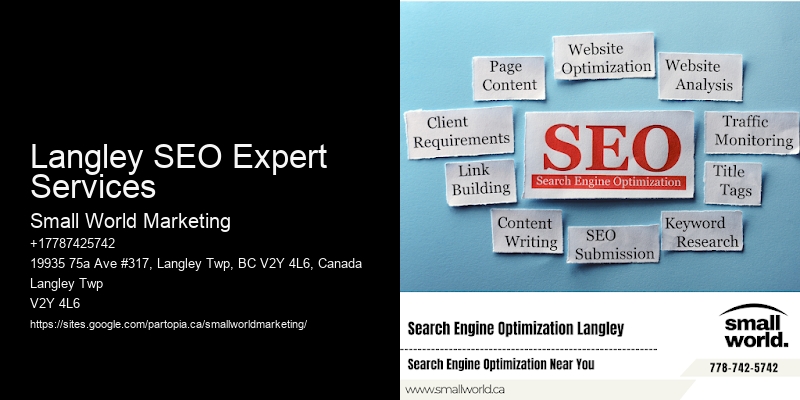 Langley SEO Expert Services