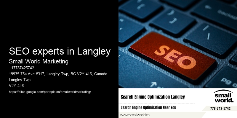SEO experts in Langley