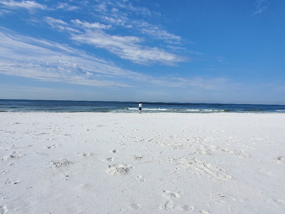 Shell Island Cruises 6a
