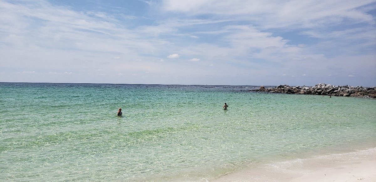 Shell Island Cruises 4 Hour