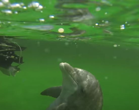 Shell Island Boat Tours