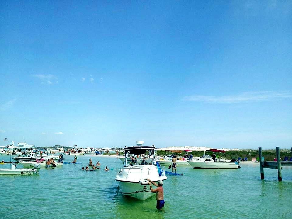 Shell Island Tours Edisto Beach