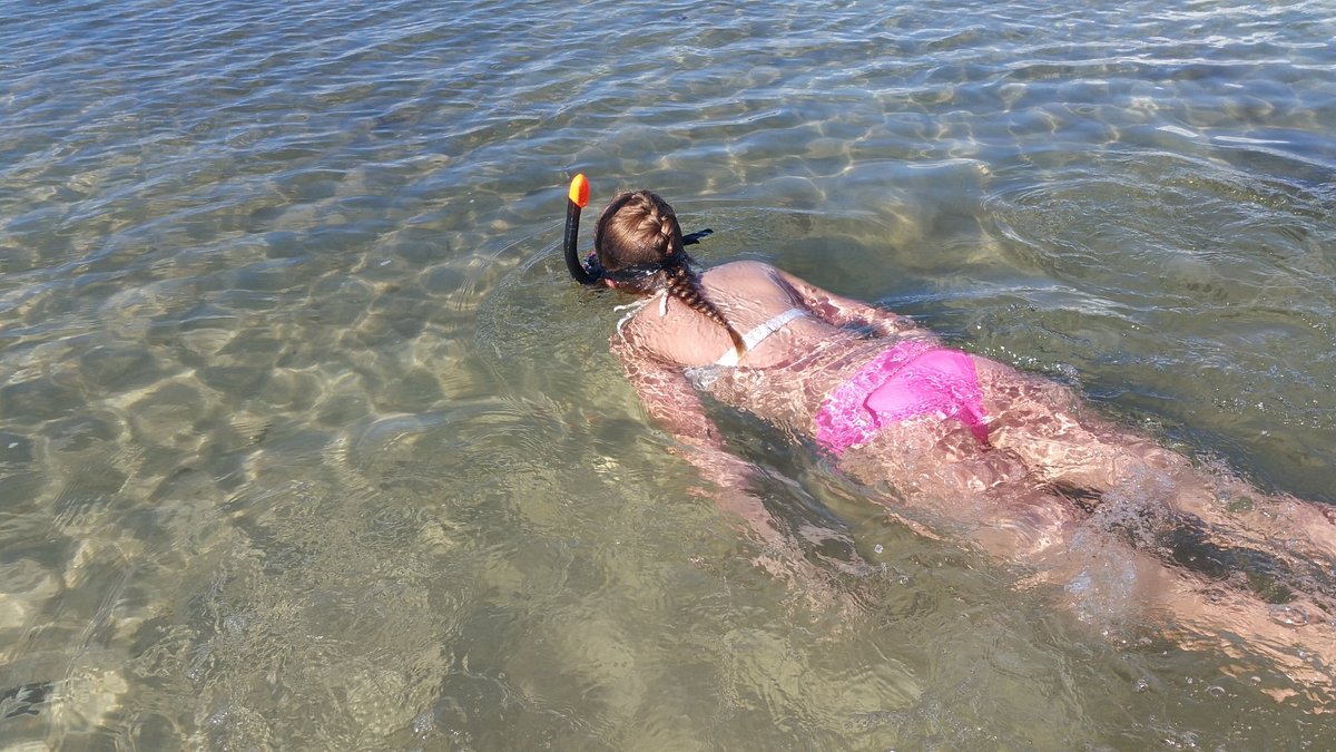 Shell Island Water Taxi Phone Number