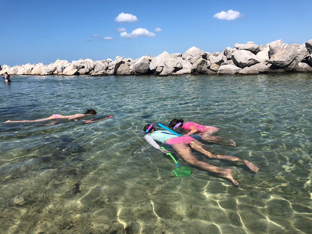 Shell Island Water Taxi Phone Number