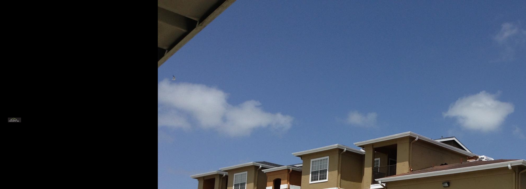   Roofing Contractors In San Antonio Tx	 