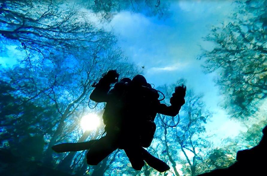 Sidemount Technical Diving Panama City Beach Rentals By Owner