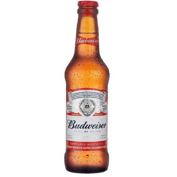 CERVEJA  BUDWEISER 330 ML