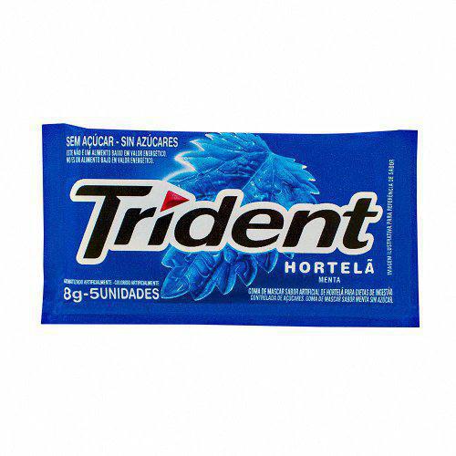 CHICLE TRIDENT HORTELA 10,2G