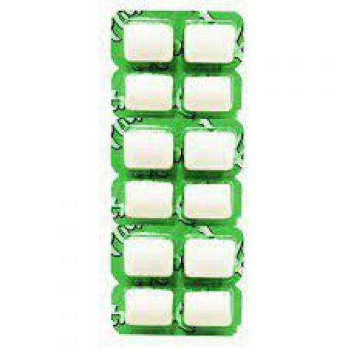 CHICLETE FLICS HORTELA 17G UND
