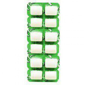 CHICLETE FLICS HORTELA 17G UND