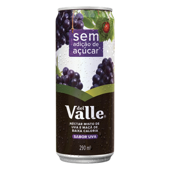 DEL VALLE NECTAR UVA S/ACU LT 290ML