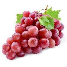 HORT UVA REED GLOB I