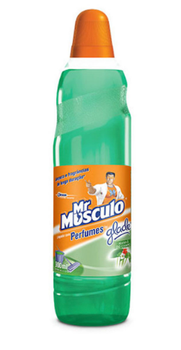 LIMPADOR MR MUSCULO PERFUME MANHA CAMPO 900ML