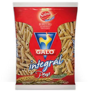 MACARRAO INTEGRAL GALO 500G